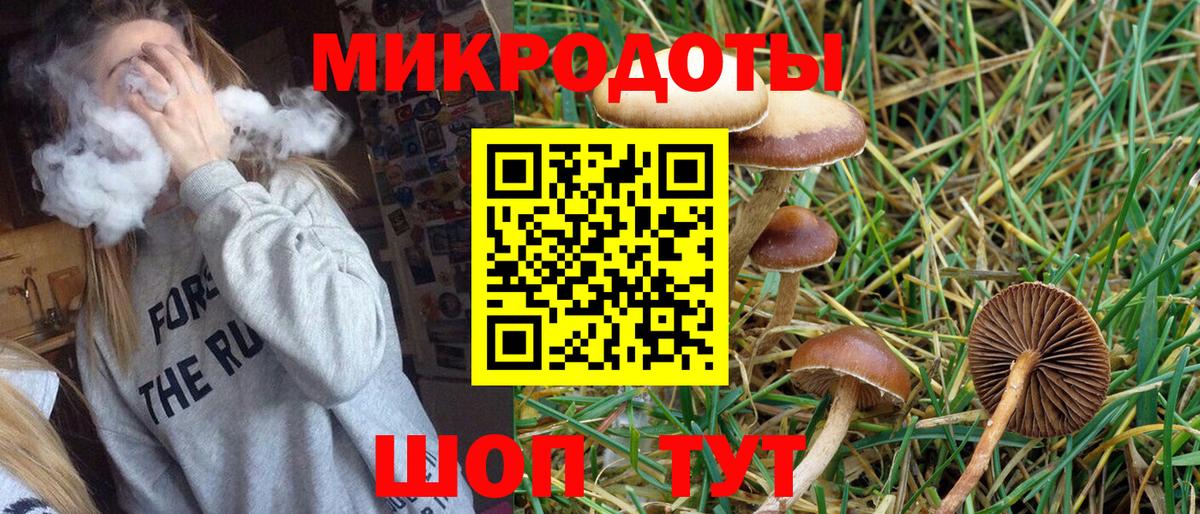 Галлюциногенные грибы прущие грибы  Вход с VPN  что такое наркотик  Узловая  Галлюциногенные грибы мицелий 